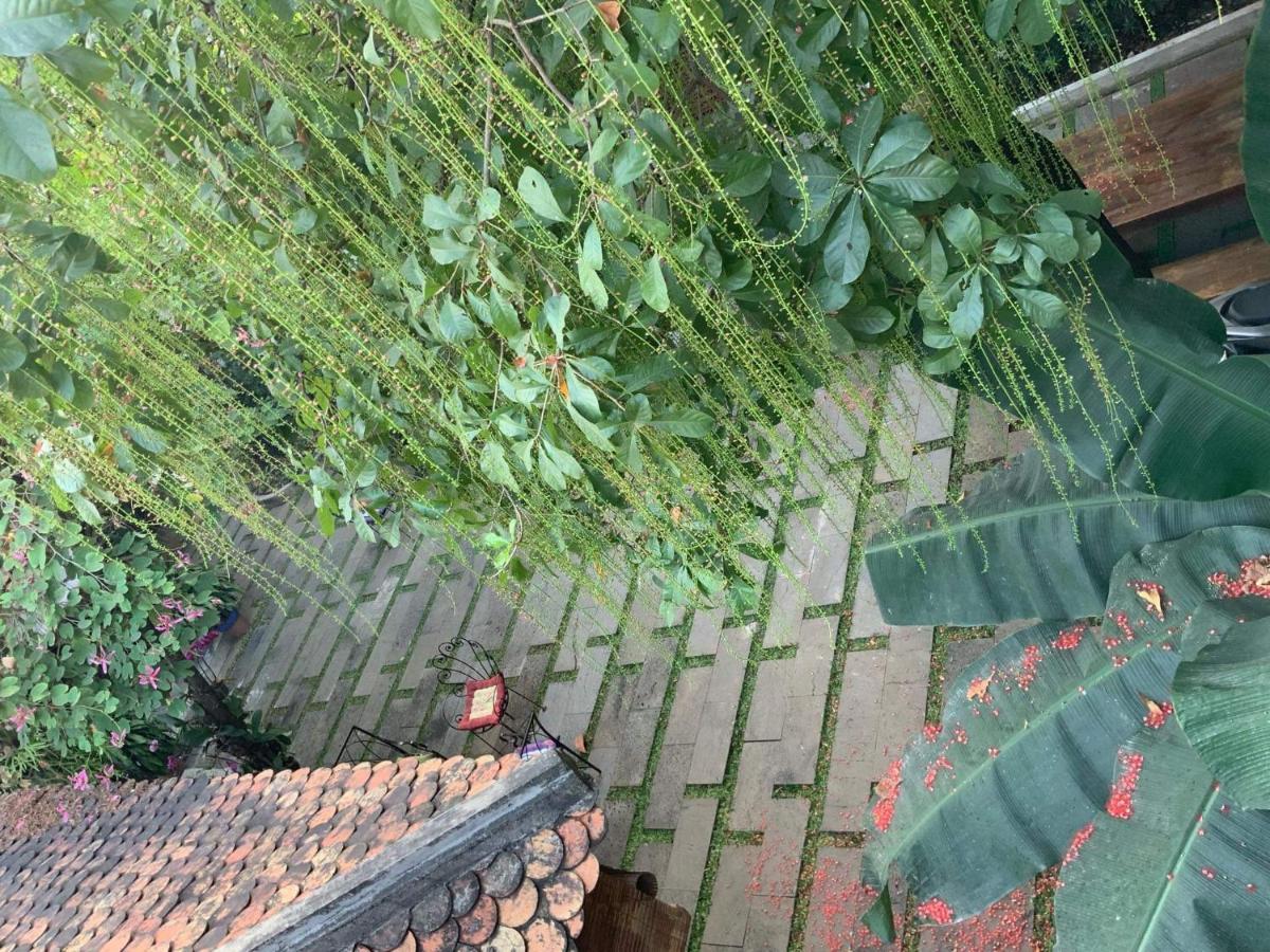 The An Homestay Cidade de Ho Chi Minh Exterior foto
